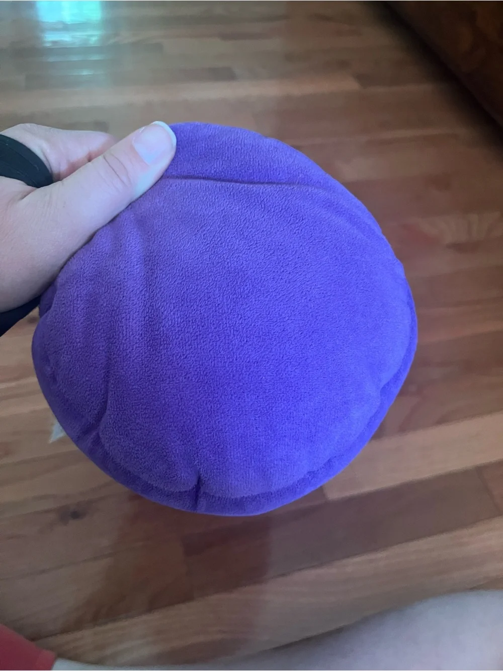 Purple Bed Roll Pillow